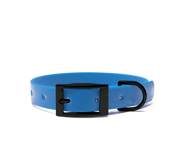 Biothane_collar_25mm_black_deluxe_light_blue_big_web