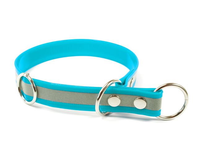 Biothane_half_choke_collar_reflex_turquoise_small_web