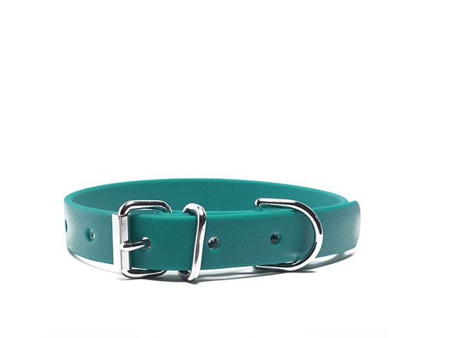 Biothane_collar_16mm_classic_light_green_small_web