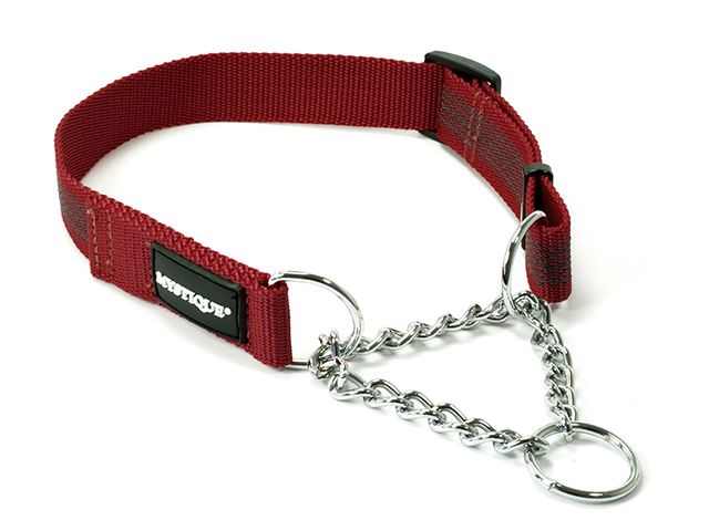 Rubbered_collar_martingale_25mm_winered_small_web