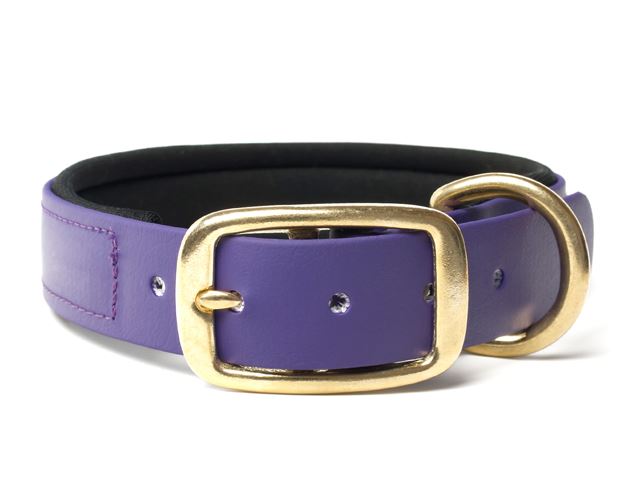 Biothane_collar_deluxe_brass_neopren_lila_small_web