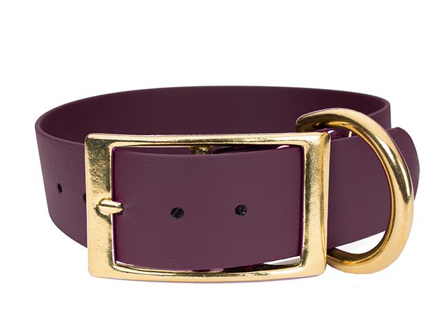 Biothane_deluxe_collar_38mm_winered_brass_small_web