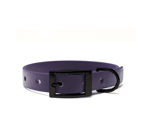Biothane_collar_25mm_black_deluxe_lila_big_web