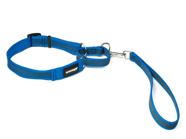 Rubbered_agility_leash_blue_small_web