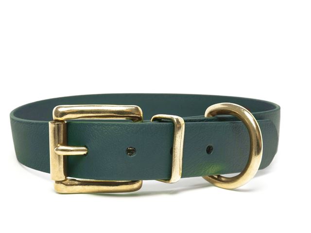Biothane_collar_classic_brass_green_small_web