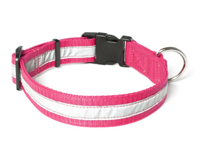 Nylon_collar_profi_reflective_purple_02_small_web