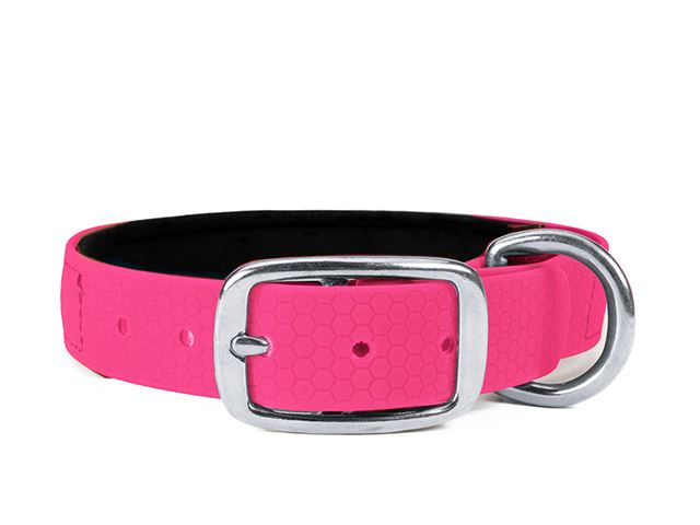 Hexa_collar_rustproof_deluxe_neon_pink_neoprene_small_web