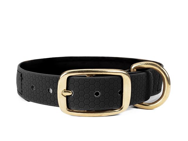 Hexa_collar_brass_deluxe_black_neoprene_small_web