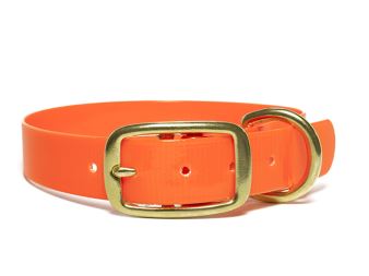 Biothane_collar_deluxe_brass_orange_gold_small_web