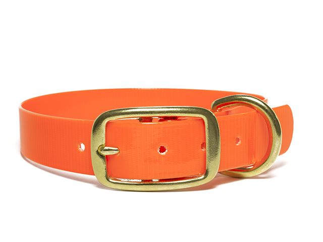 Biothane_collar_deluxe_brass_orange_gold_small_web