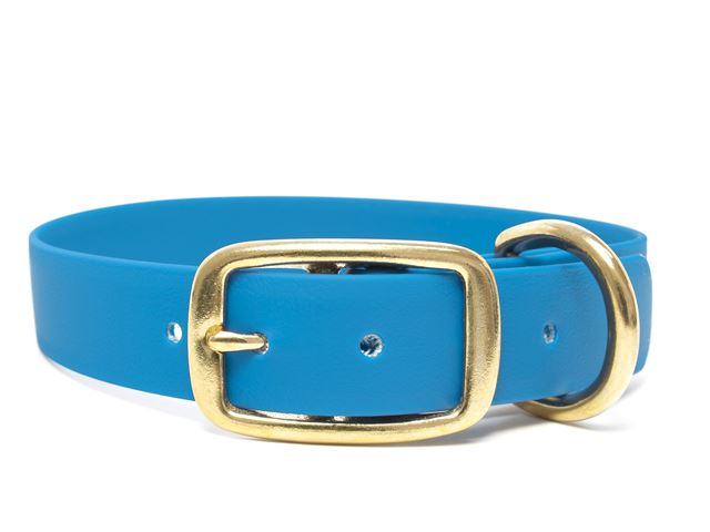 Biothane_collar_deluxe_brass_light_blue_small_web