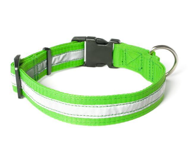 Nylon_collar_profi_reflective_neon_green_02_small_web