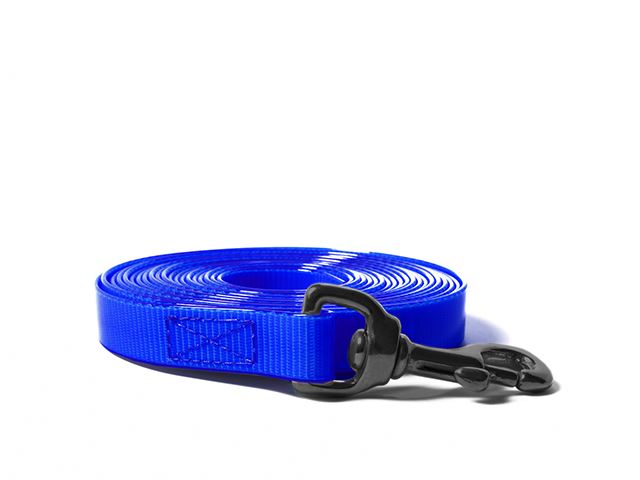 Biothane_tracking_leash_sewn_19mm_black_snap_hook_gold_blue_small_web